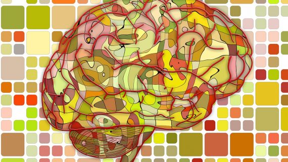 Sporten houdt het brein jong