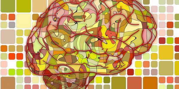 brain-951871_1280 brain-951871_1280